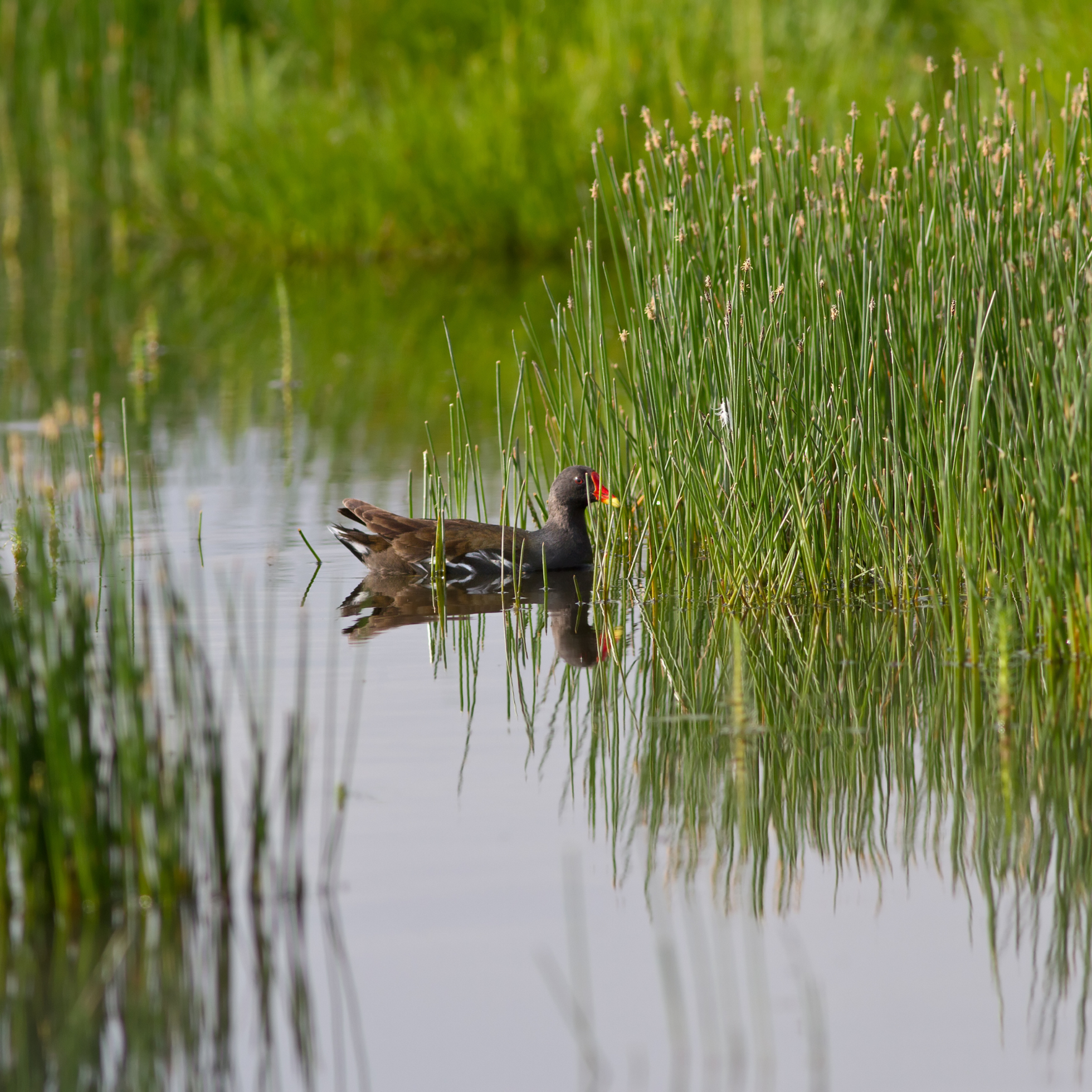 Environmental Permitting